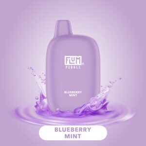 FLUM Pebble - Blueberry Mint