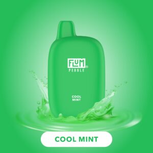 FLUM Pebble - Cool Mint