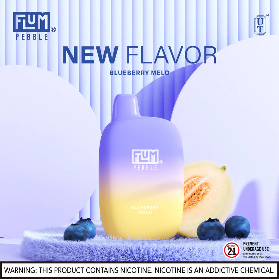 FLUM Pebble - Blueberry Melo - Image 2