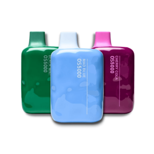 LOST MARY OS5000 - Blueberry Raspberry Gami