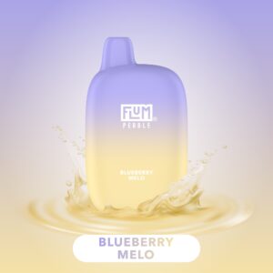 FLUM Pebble - Blueberry Melo